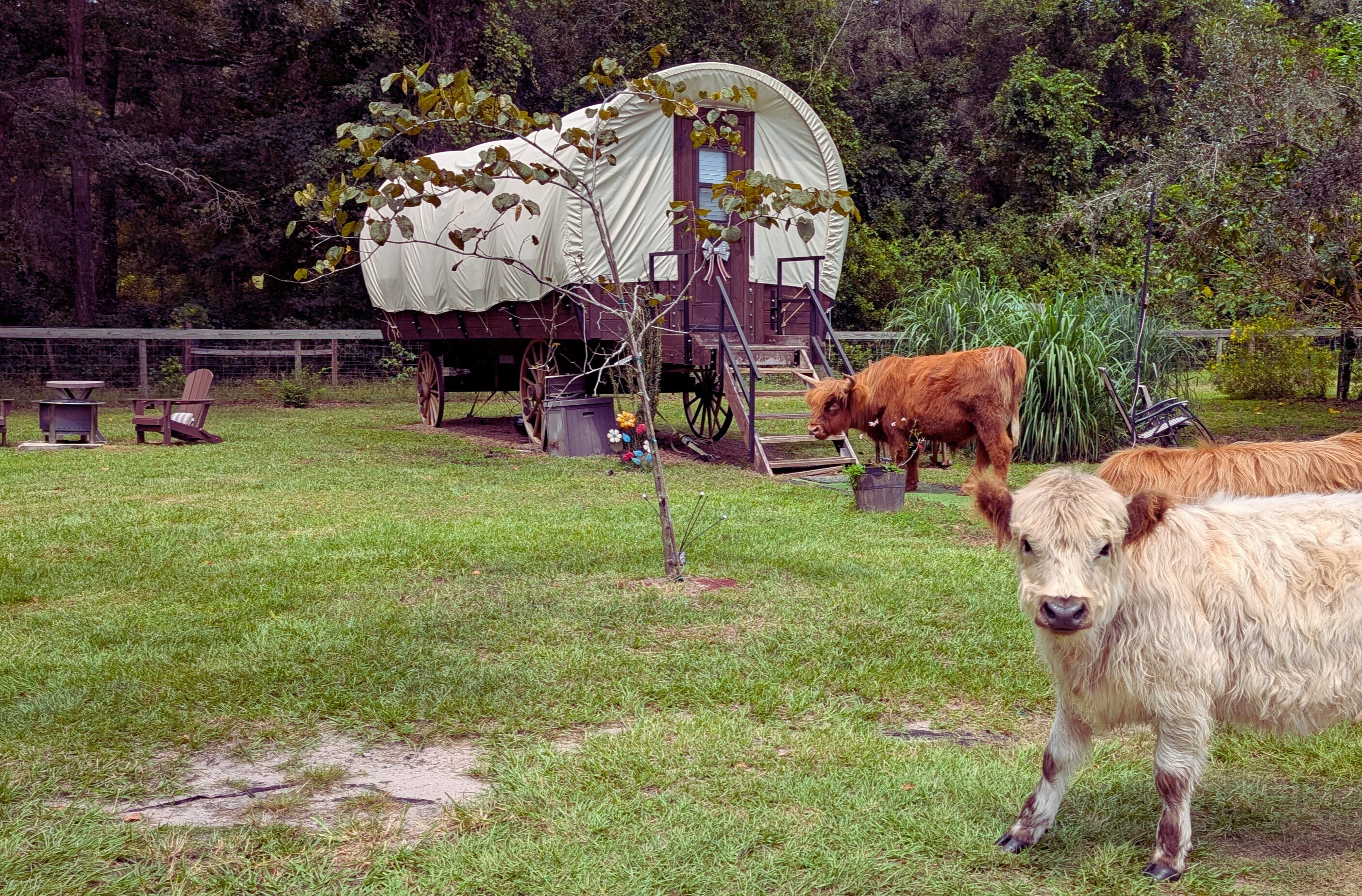 4855cba1-ae39-48f5-bead-f1c0d6e526c4.tmp