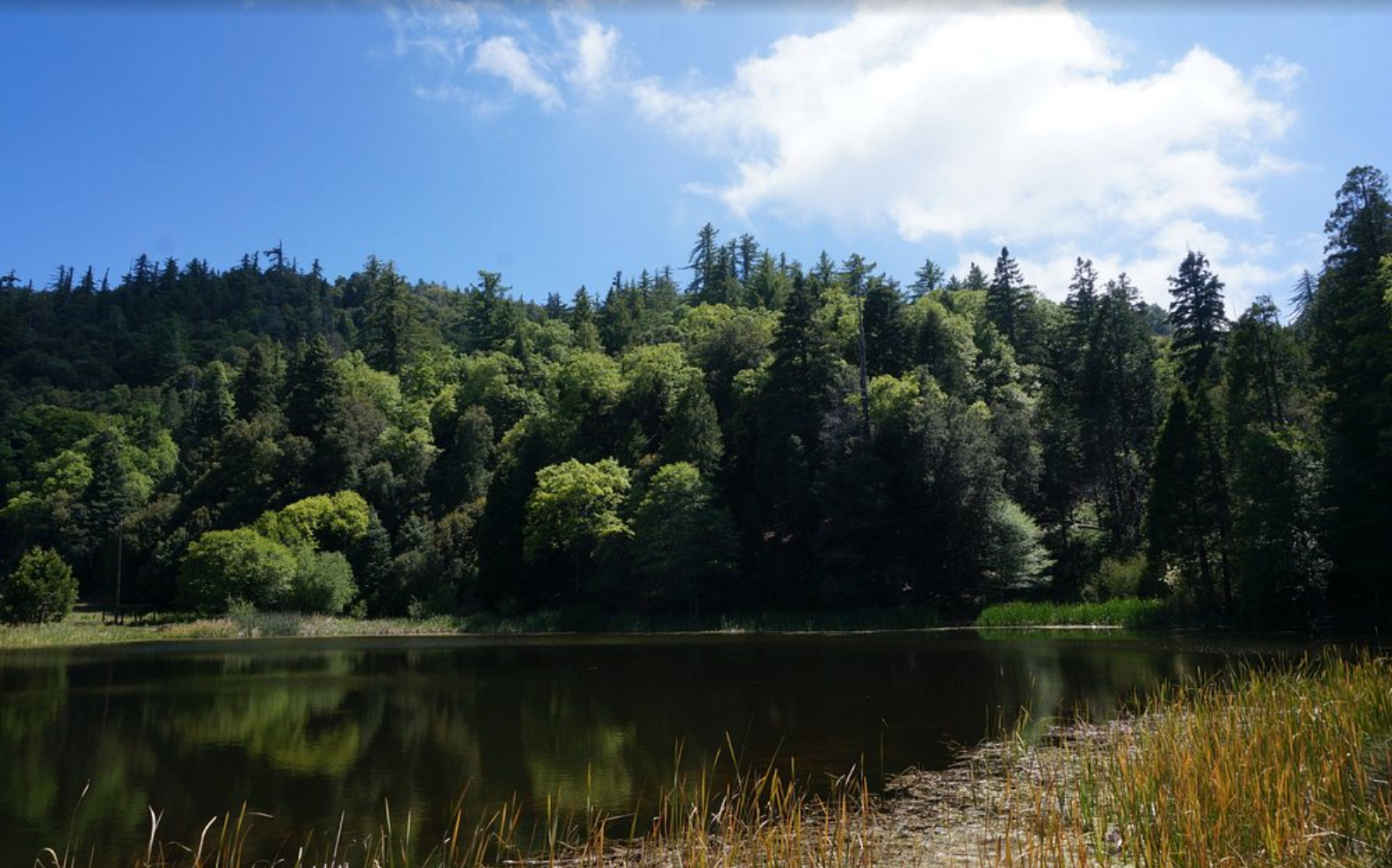 Captura de pantalla 2025-12-02 113342