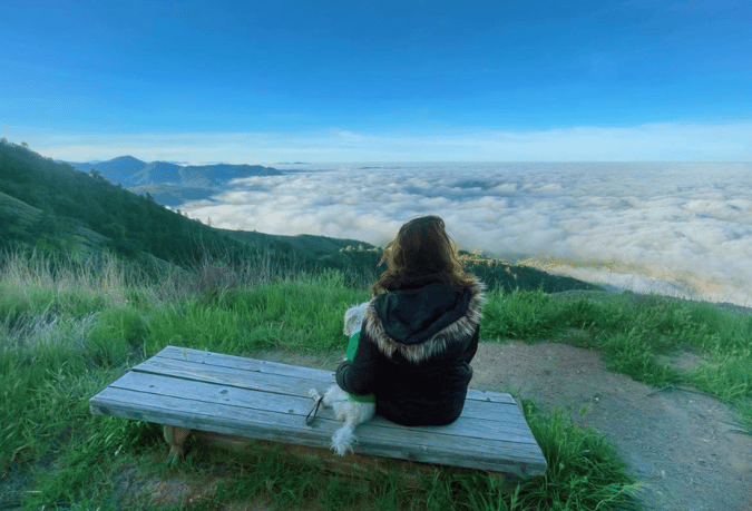 Captura de pantalla 2025-12-02 140547