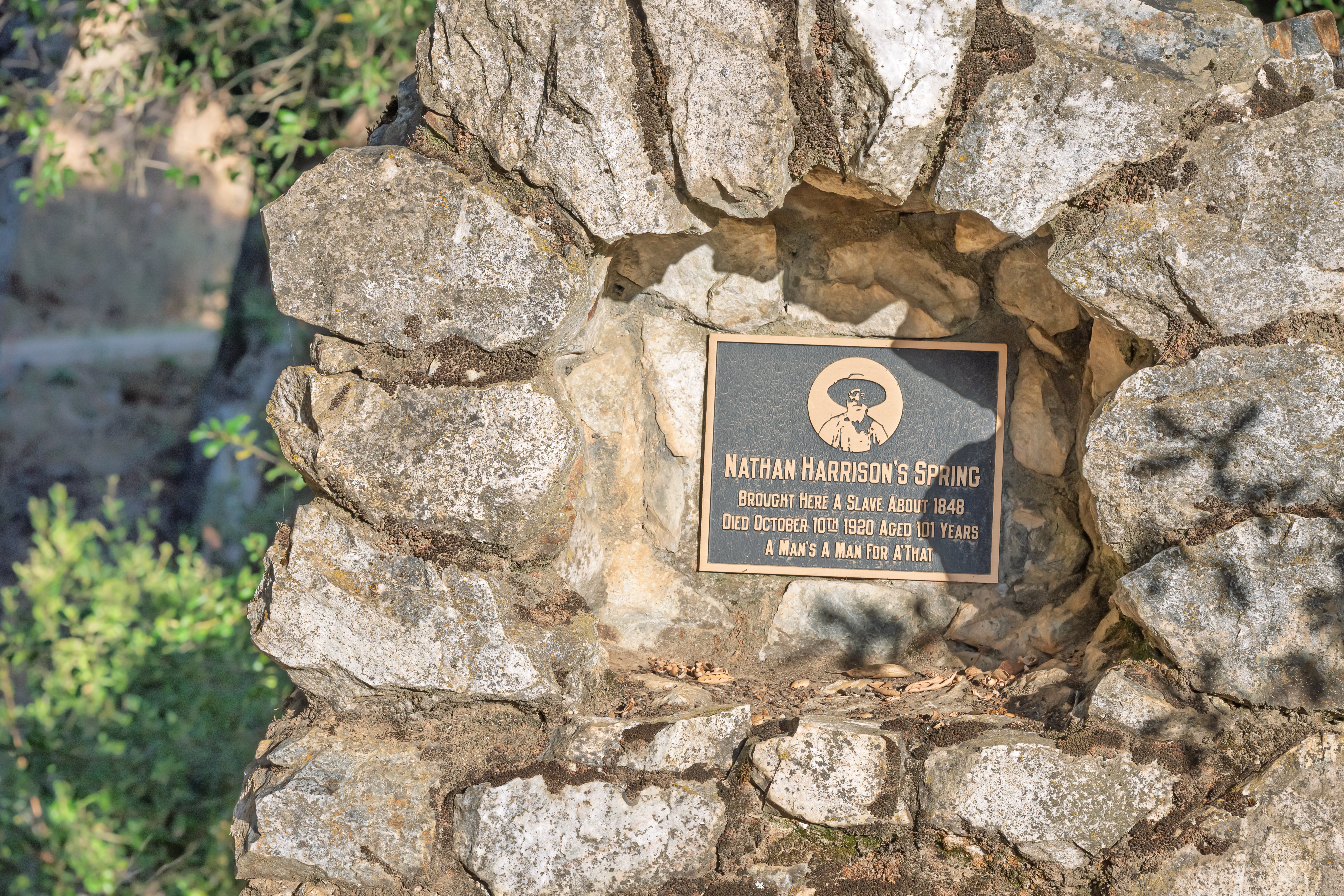 Copy of DSC_5306 (1)