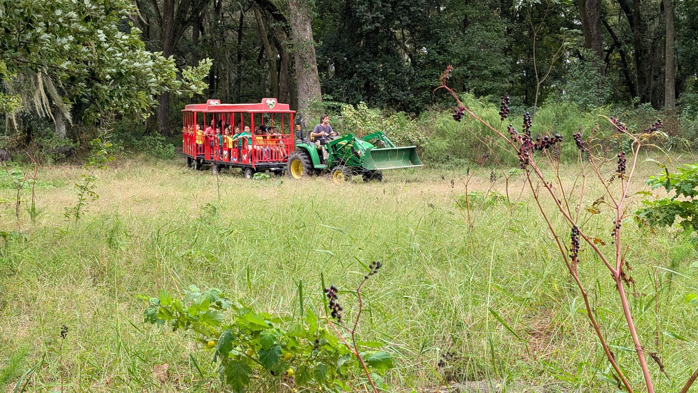 PXL_20251010_161625816