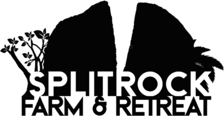 cropped-2023-Splitrock-Logo-no-background-600x312