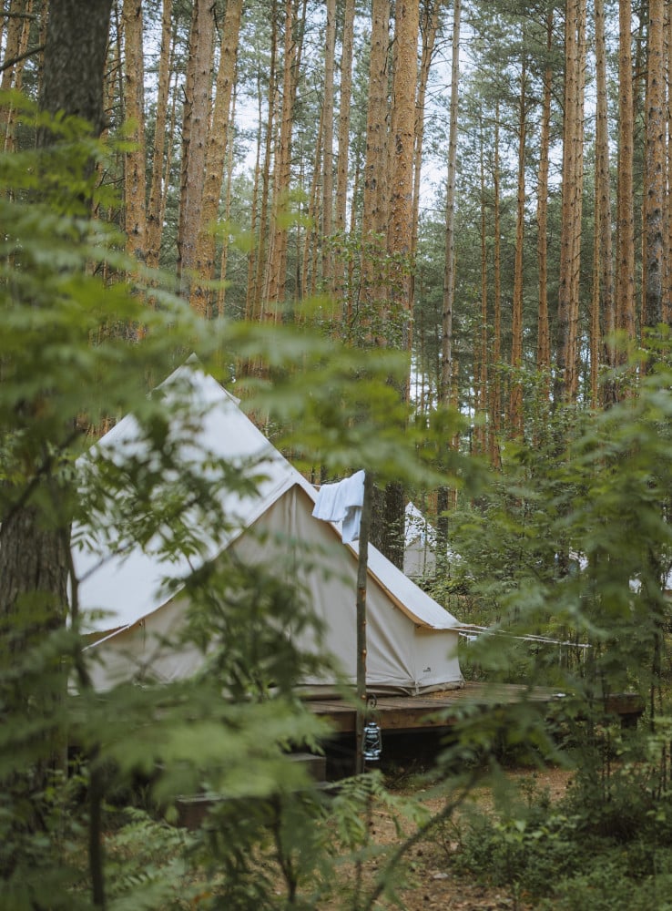 glamping development in beautiful forest