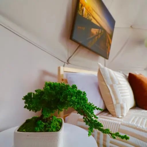 Natural furnishing next to queen bed in glamping dome at Glamping Remote, TX