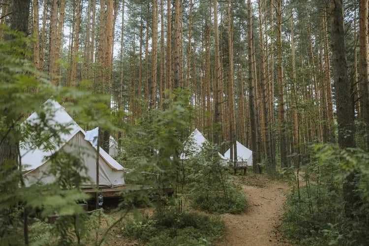 zoning-glamping-business-BOV-resized